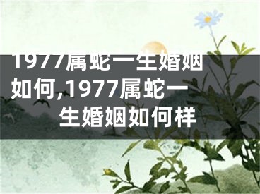 1977属蛇一生婚姻如何,1977属蛇一生婚姻如何样