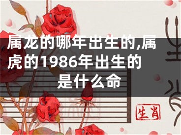 属龙的哪年出生的,属虎的1986年出生的是什么命