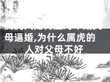 属虎人如何应对年底父母逼婚,为什么属虎的人对父母不好