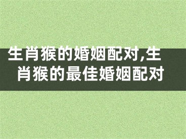 生肖猴的婚姻配对,生肖猴的最佳婚姻配对