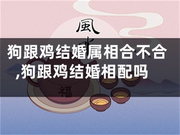 狗跟鸡结婚属相合不合,狗跟鸡结婚相配吗