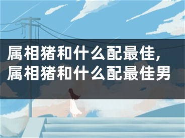 属相猪和什么配最佳,属相猪和什么配最佳男