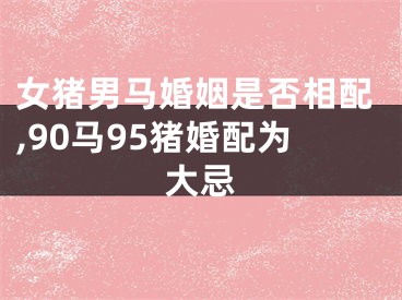 女猪男马婚姻是否相配,90马95猪婚配为大忌