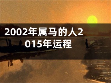 2002年属马的人2015年运程