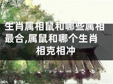 生肖属相鼠和哪些属相最合,属鼠和哪个生肖相克相冲