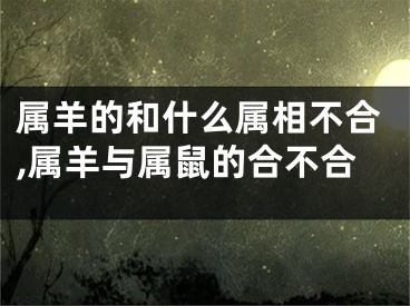 属羊的和什么属相不合,属羊与属鼠的合不合