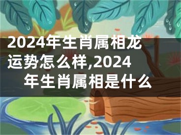 2024年生肖属相龙运势怎么样,2024年生肖属相是什么