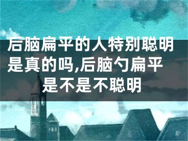 后脑扁平的人特别聪明是真的吗,后脑勺扁平是不是不聪明