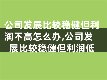 公司发展比较稳健但利润不高怎么办,公司发展比较稳健但利润低