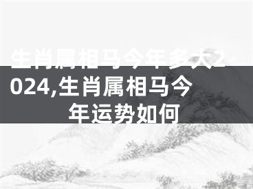 生肖属相马今年多大2024,生肖属相马今年运势如何