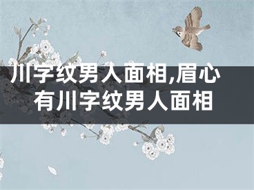 川字纹男人面相,眉心有川字纹男人面相