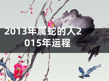 2013年属蛇的人2015年运程