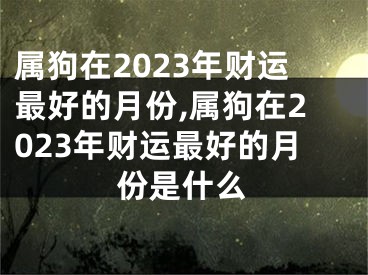 属狗在2023年财运最好的月份,属狗在2023年财运最好的月份是什么