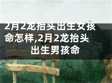 2月2龙抬头出生女孩命怎样,2月2龙抬头出生男孩命