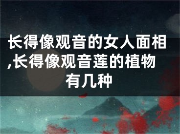 长得像观音的女人面相,长得像观音莲的植物有几种