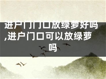 进户门门口放绿萝好吗,进户门口可以放绿萝吗