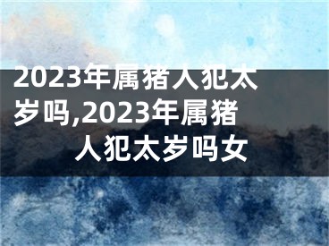 2023年属猪人犯太岁吗,2023年属猪人犯太岁吗女