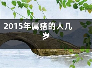 2015年属猪的人几岁