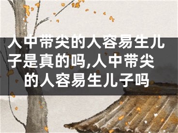 人中带尖的人容易生儿子是真的吗,人中带尖的人容易生儿子吗