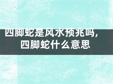 四脚蛇是风水预兆吗,四脚蛇什么意思