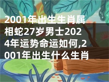 2001年出生生肖属相蛇27岁男士2024年运势命运如何,2001年出生什么生肖