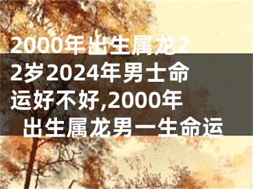 2000年出生属龙22岁2024年男士命运好不好,2000年出生属龙男一生命运