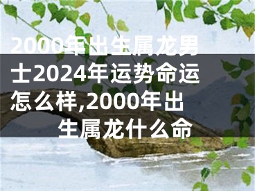 2000年出生属龙男士2024年运势命运怎么样,2000年出生属龙什么命