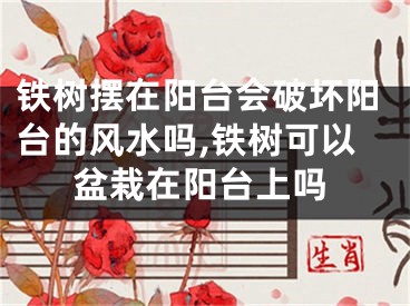 铁树摆在阳台会破坏阳台的风水吗,铁树可以盆栽在阳台上吗