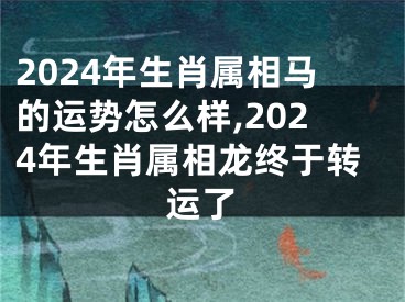 2024年生肖属相马的运势怎么样,2024年生肖属相龙终于转运了