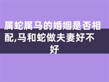 属蛇属马的婚姻是否相配,马和蛇做夫妻好不好