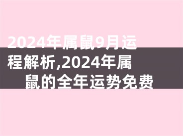 2024年属鼠9月运程解析,2024年属鼠的全年运势免费