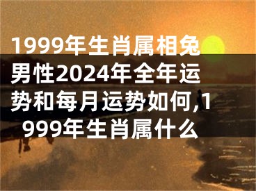 1999年生肖属相兔男性2024年全年运势和每月运势如何,1999年生肖属什么