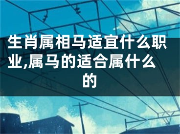 生肖属相马适宜什么职业,属马的适合属什么的