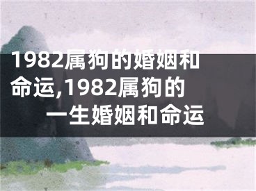 1982属狗的婚姻和命运,1982属狗的一生婚姻和命运