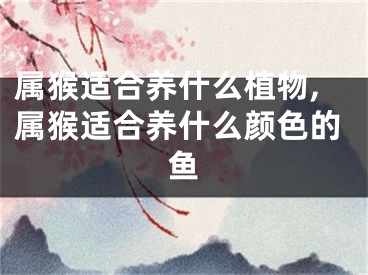 属猴适合养什么植物,属猴适合养什么颜色的鱼