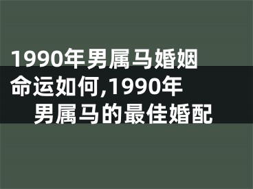 1990年男属马婚姻命运如何,1990年男属马的最佳婚配