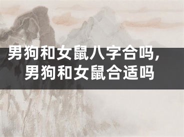 男狗和女鼠八字合吗,男狗和女鼠合适吗