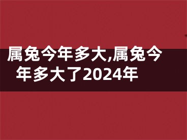 属兔今年多大,属兔今年多大了2024年