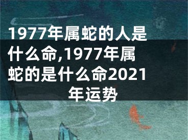 1977年属蛇的人是什么命,1977年属蛇的是什么命2021年运势