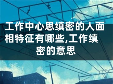 工作中心思缜密的人面相特征有哪些,工作缜密的意思