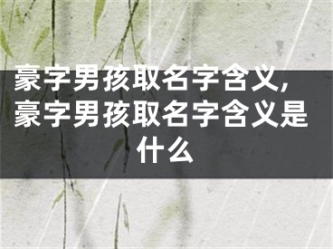 豪字男孩取名字含义,豪字男孩取名字含义是什么