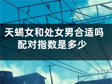 天蝎女和处女男合适吗 配对指数是多少