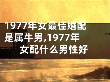 1977年女最佳婚配是属牛男,1977年女配什么男性好