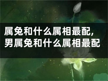 属兔和什么属相最配,男属兔和什么属相最配