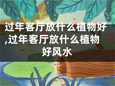 过年客厅放什么植物好,过年客厅放什么植物好风水