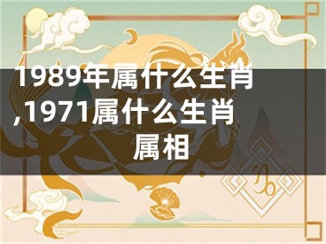 1989年属什么生肖,1971属什么生肖属相