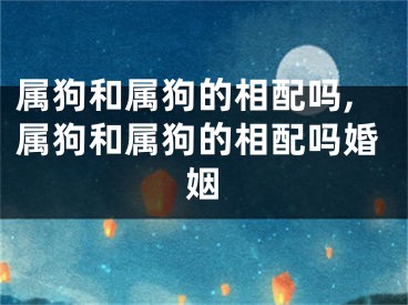 属狗和属狗的相配吗,属狗和属狗的相配吗婚姻