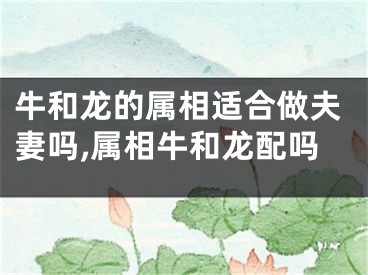 牛和龙的属相适合做夫妻吗,属相牛和龙配吗