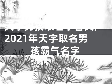 天字男孩取名字含义,2021年天字取名男孩霸气名字