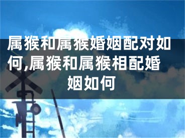 属猴和属猴婚姻配对如何,属猴和属猴相配婚姻如何